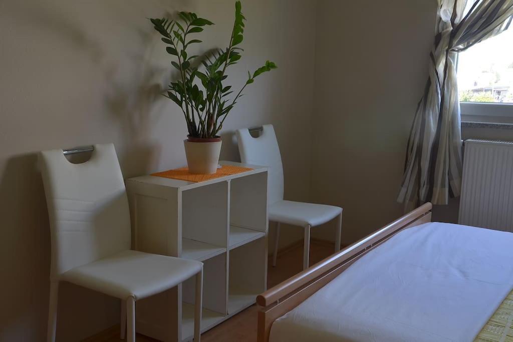 Apartman Ana Pula - Calm, Free Parking, Close To Center Exterior photo